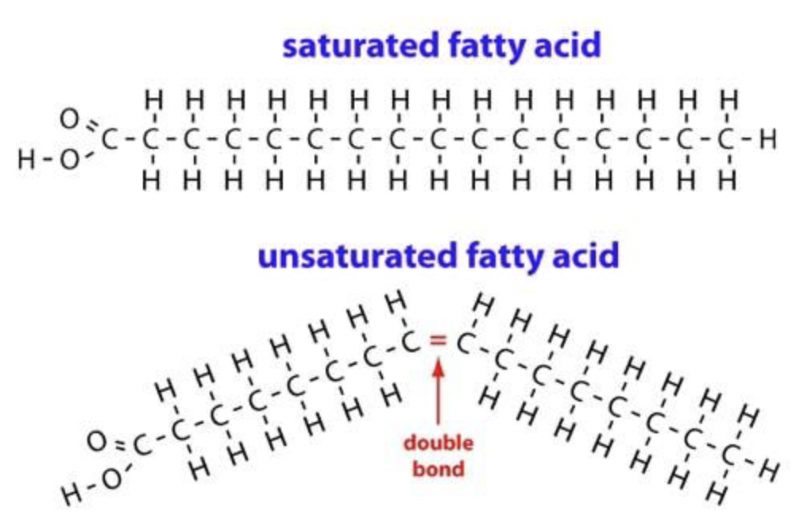 Healthy Fat: Let's Emulsify the Confusion :) - Wholist